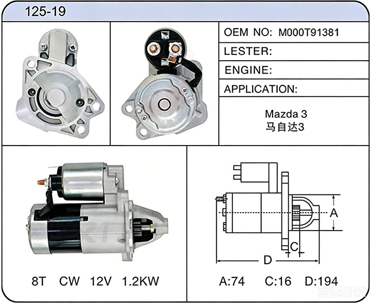 S025-19(M000T91381)